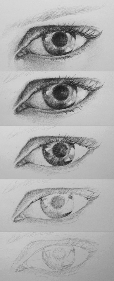 Step by Step Drawing of the Human Eye