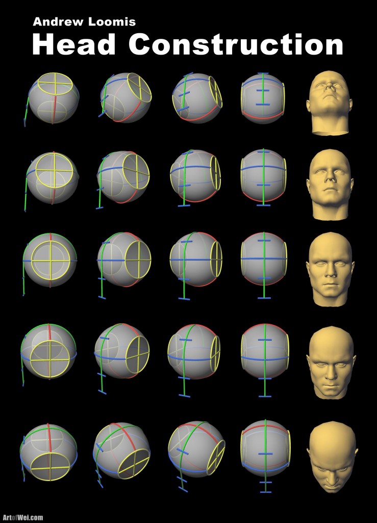 Andrew Loomis Head Construction