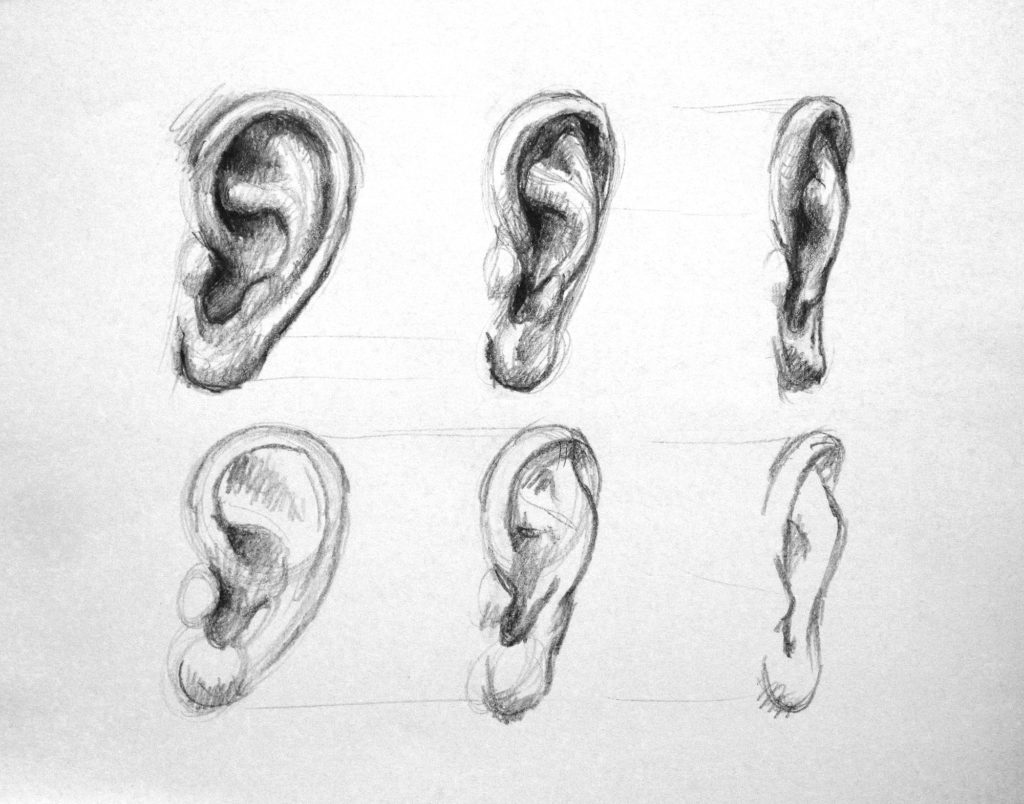 how to draw an ear