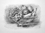 drawing a bowl of fruit