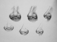 how to draw a nose